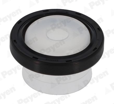 PAYEN Nokkenas keerring NA5364 NA5364 Nokkenas keerring PAYEN FORD USA WINDSTAR