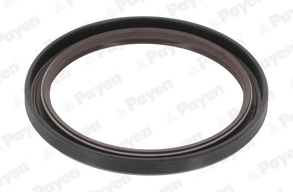 PAYEN Tesniaci krúżok kľukového hriadeľa NA5447 PAYEN NA5447 Tesniaci krúżok kľukového hriadeľa Opel Movano Valník cena