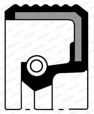 PAYEN Shaft Seal, manual transmission NA5449 Fiat SEDICI PAYEN gearbox gaskets NA5449