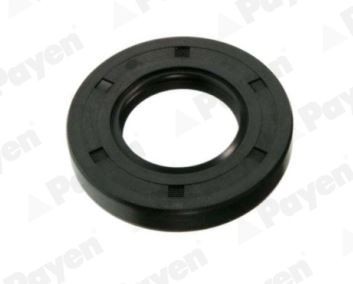 PAYEN Anello tenuta, Differenziale NJ441 NJ441 Anello tenuta, differenziale PAYEN NISSAN PRIMASTAR costo