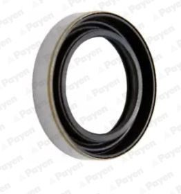 PAYEN Bague d'étanchéité, différentiel NK122 PAYEN NK122 d'origine Bague d'étanchéité de différentiel Corolla XII Break (E210) coût