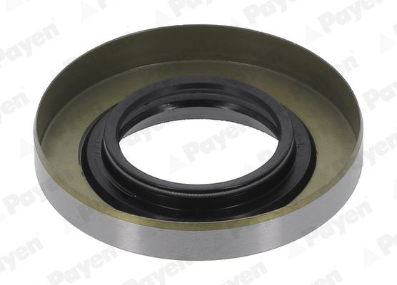 PAYEN Τσιμούχα, διαφορικό NK123 PAYEN NK123 Τσιμούχα, διαφορικό TOYOTA Hilux VI Pick-up 2.4 TD (LN190) 90 PS 1997