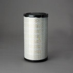 DONALDSON Air filter P783117 P783117 DONALDSON air filter for MERCEDES-BENZ R-Class