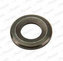 PAYEN Piastra termoisolante, Impianto iniezione PA817 PA817 costo Piastra termoisolante, impianto iniezione MERCEDES-BENZ GLE PAYEN