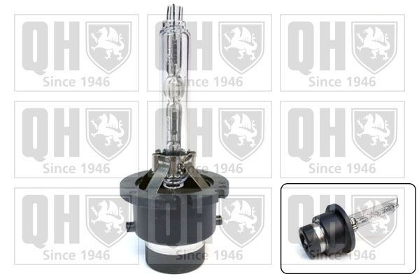 QUINTON HAZELL Xenon-pære QBL122G Lyspære hovedlyskaster QUINTON HAZELL SUZUKI QBL122G