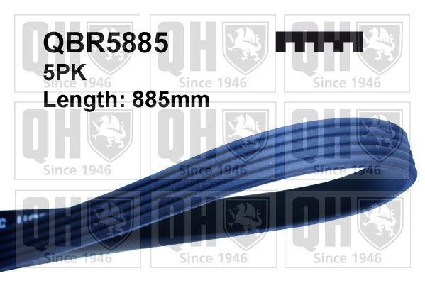 QUINTON HAZELL Multiriem QBR5885 Land Rover RANGE ROVER EVOQUE Multisnaar QUINTON HAZELL QBR5885