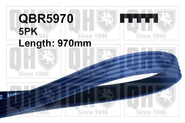 QUINTON HAZELL Cinghia servizi QBR5970 QUINTON HAZELL QBR5970 costo Cinghia servizi OPEL KADETT