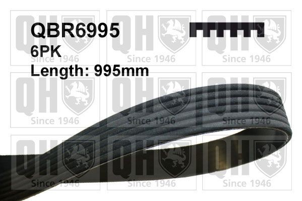 QUINTON HAZELL Ozubený klinový remeň QBR6995 Ozubený klinový remeň QUINTON HAZELL Mercedes-Benz Trieda M QBR6995