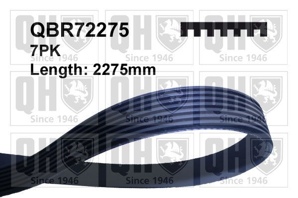 QUINTON HAZELL Kilerem QBR72275 Ribrem QUINTON HAZELL M-klasse QBR72275 billig