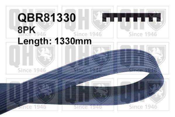 QUINTON HAZELL Serpentine belt QBR81330 QBR81330 QUINTON HAZELL serpentine belt for KIA SORENTO