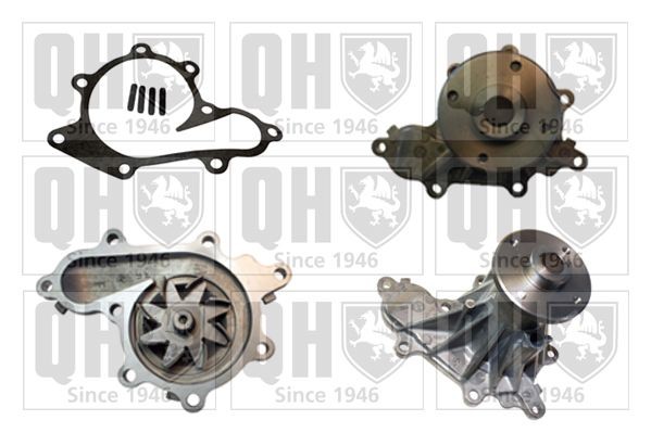 QUINTON HAZELL Waterpomp QCP3687 QCP3687 Waterpomp NISSAN QASHQAI QUINTON HAZELL