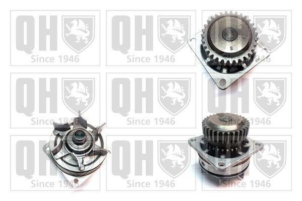 Vandpumpe QUINTON HAZELL QCP3689 QUINTON HAZELL QCP3689 Vandpumpe NISSAN MAXIMA 2019