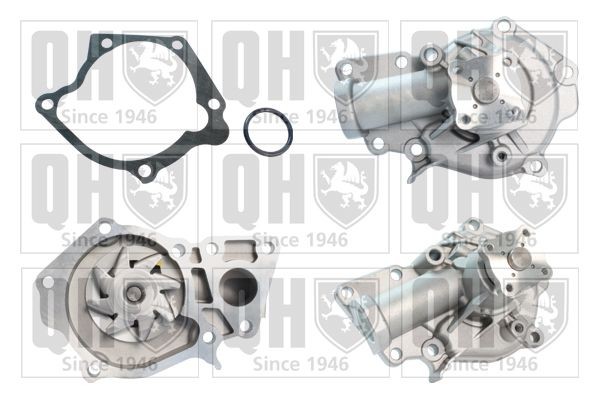 QUINTON HAZELL Vattenpump QCP3738 QCP3738 Vattenpump QUINTON HAZELL HYUNDAI H-1 Skåp