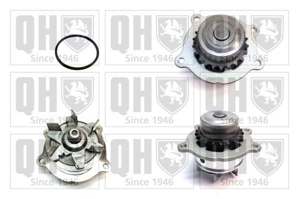 Waterpomp QUINTON HAZELL QCP3797 QUINTON HAZELL QCP3797 Waterpomp van de motor SUBARU TRIBECA 2016