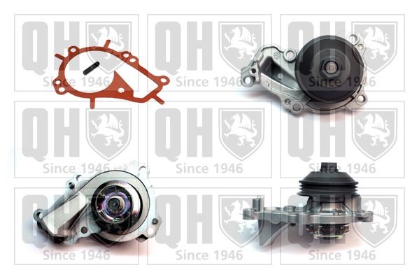 QUINTON HAZELL Vannpumpe QCP3845 Vannpumpe QUINTON HAZELL VECTRA QCP3845 billige