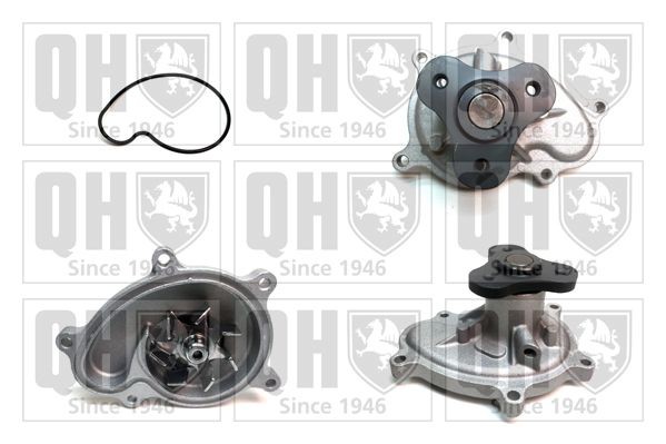 QUINTON HAZELL Vannpumpe QCP3882 QUINTON HAZELL QCP3882 Vannpumpe Subaru Outback BR pris