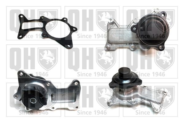 QUINTON HAZELL Waterpomp QCP3886 QUINTON HAZELL QCP3886 Waterpompen Ford COURIER originele