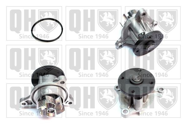 QUINTON HAZELL Vattenpump QCP3890 QCP3890 QUINTON HAZELL vattenpumpar KIA SPORTAGE