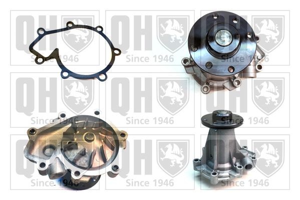 Vandpumpe QUINTON HAZELL QCP3891 QUINTON HAZELL QCP3891: Vandpumpe SsangYoung REXTON 2018