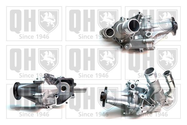 QUINTON HAZELL Pompa acqua QCP3891BH QUINTON HAZELL QCP3891BH Pompa dell'acqua Ssangyong Rexton W prezzo