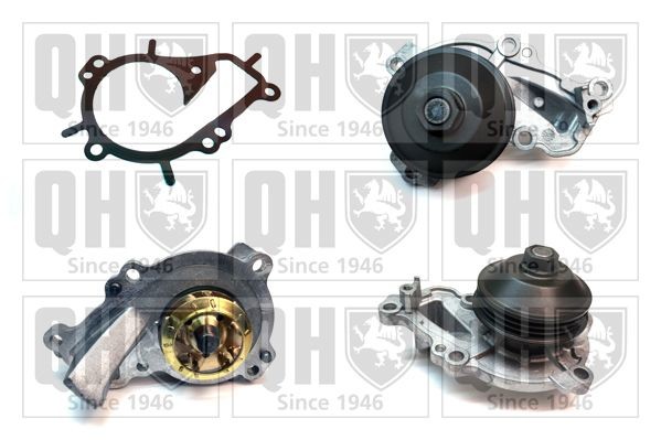 QUINTON HAZELL Vannpumpe QCP3897 Vannpumpe QUINTON HAZELL VECTRA QCP3897 billige