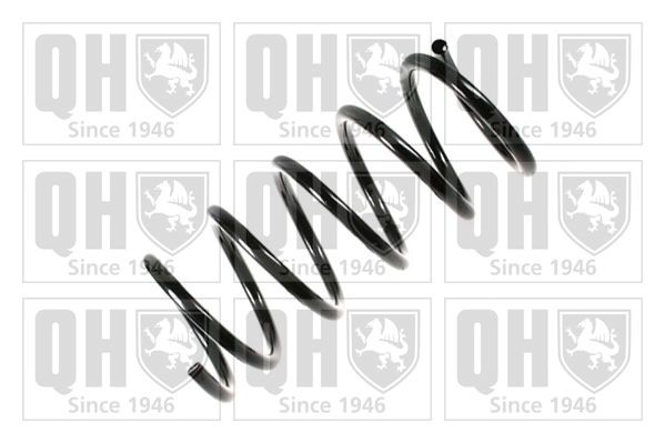 QUINTON HAZELL Chassisveer QCS5768 QUINTON HAZELL QCS5768 originele Veren Fiat Ducato Panorama 280 kosten