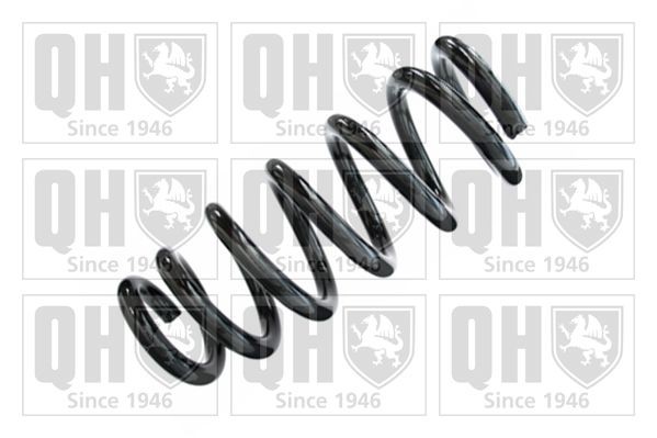 QUINTON HAZELL Fahrwerksfeder QCS5980 QUINTON HAZELL QCS5980 Feder Mitsubishi Pajero IV Kosten