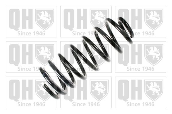 QUINTON HAZELL Ελατήρια ανάρτησης QCS6630 Ελατήρια ανάρτησης Fiat 186 QCS6630 QUINTON HAZELL