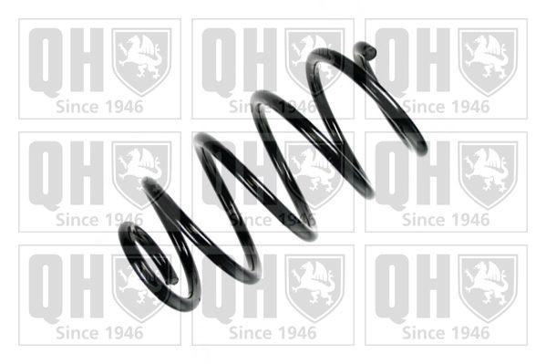 QUINTON HAZELL Fahrwerksfeder QCS7282 QCS7282 QUINTON HAZELL Federn California T6 Bus (SGC, SGG, SHC) Kosten