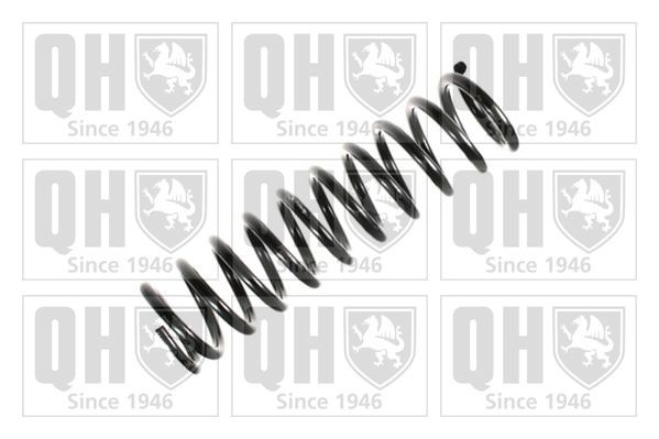 QUINTON HAZELL Molle ammortizzatori QCS8177 QCS8177 Molle MERCEDES-BENZ Classe B QUINTON HAZELL costo