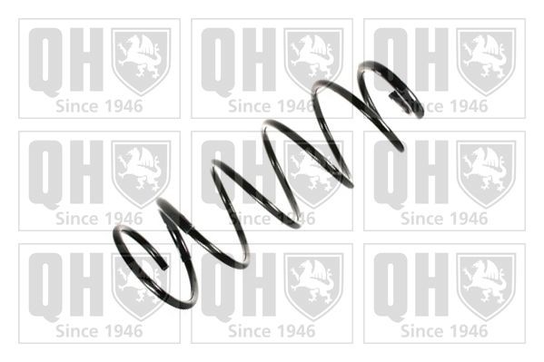 Fjeder QUINTON HAZELL QCS8206 QUINTON HAZELL QCS8206: Fjedre Peugeot 406 2004