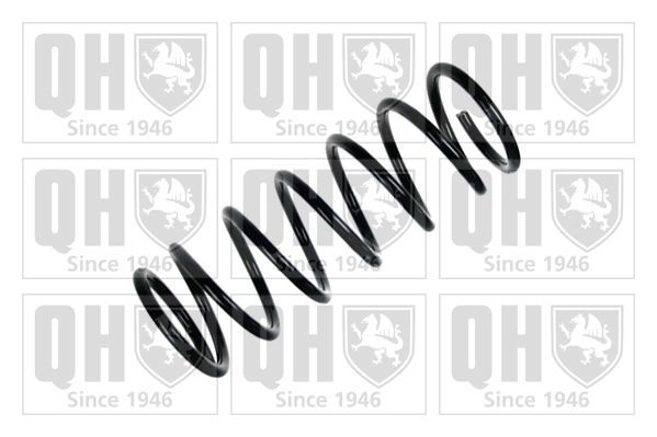 Fahrwerksfeder QUINTON HAZELL QCS8261 QUINTON HAZELL QCS8261 Stoßdämpfer Feder SSANGYONG KYRON 2009 Kosten