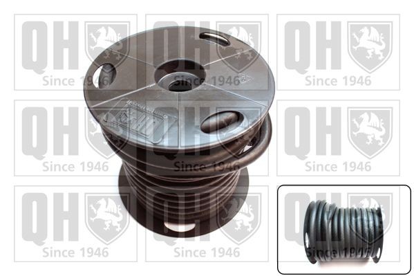 QUINTON HAZELL Ελαστικός σωλήνας καυσίμων QFH102 αυτοκινήτων Ελαστικός σωλήνας καυσίμων QUINTON HAZELL QFH102 αγορά
