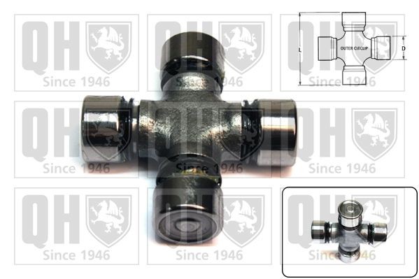 QUINTON HAZELL Achsstern, Ausgleichskegelrad-Differential QL528 QUINTON HAZELL QL528 Achsstern, Ausgleichskegelrad-Differential