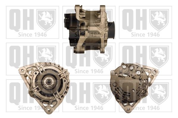QUINTON HAZELL Lichtmaschine QRA1825 QRA1825 Generator QUINTON HAZELL IVECO Kosten