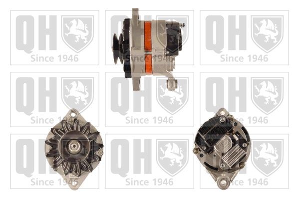 QUINTON HAZELL Lichtmaschine QRA2341 QRA2341 Lichtmaschine QUINTON HAZELL IVECO Kosten
