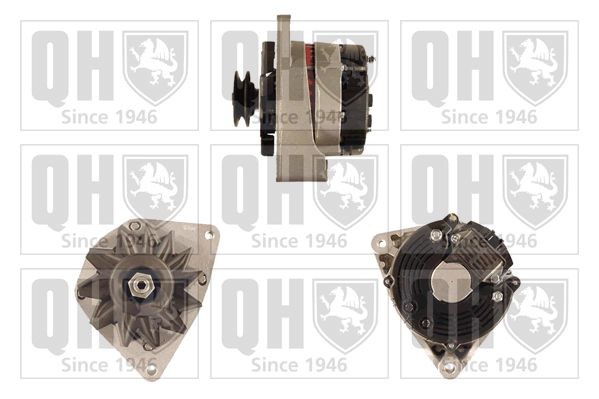 QUINTON HAZELL Lichtmaschine QRA2836 QRA2836 QUINTON HAZELL Startergenerator IVECO Kosten