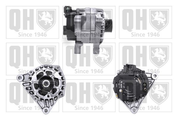 QUINTON HAZELL Dynamo / Alternator QRA3001 QRA3001 QUINTON HAZELL Generator Kia goedkoop