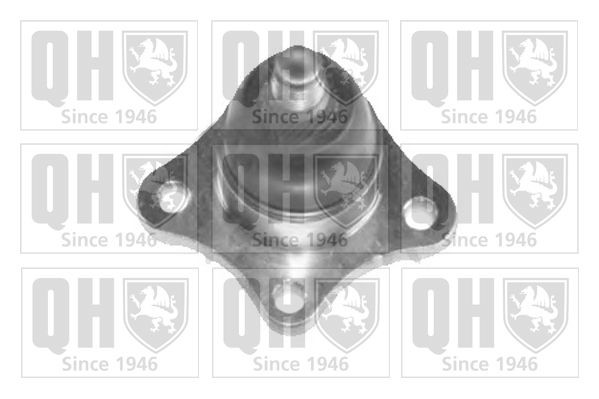 QUINTON HAZELL Zvislý / nosný čap QSJ3513S QUINTON HAZELL Guľový čap ramena HYUNDAI QSJ3513S