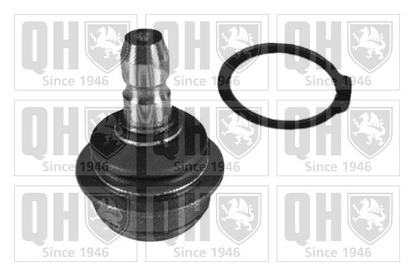 QUINTON HAZELL Fuseekogel QSJ3643S QUINTON HAZELL QSJ3643S Kogel, fusee Chevy Sedan prijs