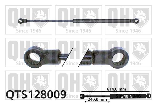 QUINTON HAZELL Ammortizatore pneumatico, Cofano bagagli / vano carico QTS128009 QUINTON HAZELL QTS128009 costo Pistoni portellone Ford Fiesta Mk1 originale