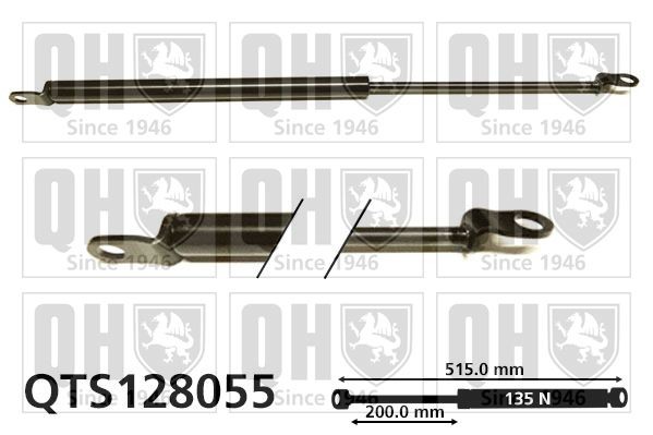 Gāzes atspere, Bagāžas / Kravas nodalījuma vāks QUINTON HAZELL QTS128055 QUINTON HAZELL QTS128055 Bagāžnieka amortizatori NISSAN PATROL 2003