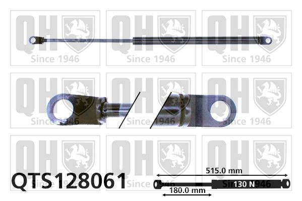QUINTON HAZELL Amortecedor da mala QTS128061 QTS128061 QUINTON HAZELL Amortecedor da porta Jeep baratos
