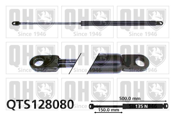 Gāzes atspere, Bagāžas / Kravas nodalījuma vāks QUINTON HAZELL QTS128080 QUINTON HAZELL QTS128080 Bagāžnieka amortizatori NISSAN PATROL 2003