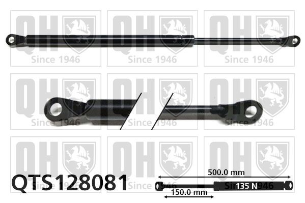 Gasveer achterklep QUINTON HAZELL QTS128081 QUINTON HAZELL QTS128081 Gasveer kofferruimte NISSAN PATROL 2015