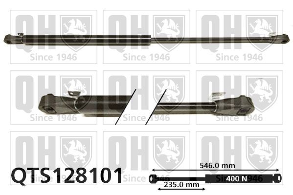 QUINTON HAZELL Gasveer achterklep QTS128101 QUINTON HAZELL QTS128101 originele Gasveer achterklep Peugeot 309 I kosten
