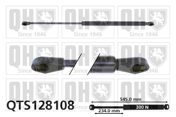 QUINTON HAZELL Bagklapsdæmper QTS128108 Gasfjeder bagklap CITROËN QUINTON HAZELL QTS128108