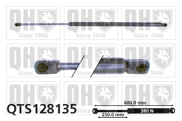 QUINTON HAZELL Pneumatická prużina, Batożinový / nákladný priestor QTS128135 QUINTON HAZELL QTS128135 Vzpery kufra Сitroën ZX N2 za nízku cenu