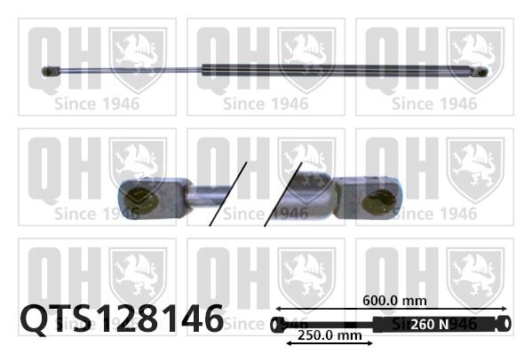 QUINTON HAZELL Gasfjäder till baklucka QTS128146 Сitroën ZX N2 Gasfjäder baklucka QUINTON HAZELL QTS128146