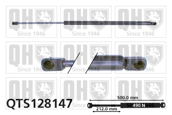 Pneumatická prużina, Batożinový / nákladný priestor QUINTON HAZELL QTS128147 QUINTON HAZELL QTS128147 Tlmiče kufra Renault 19 2000